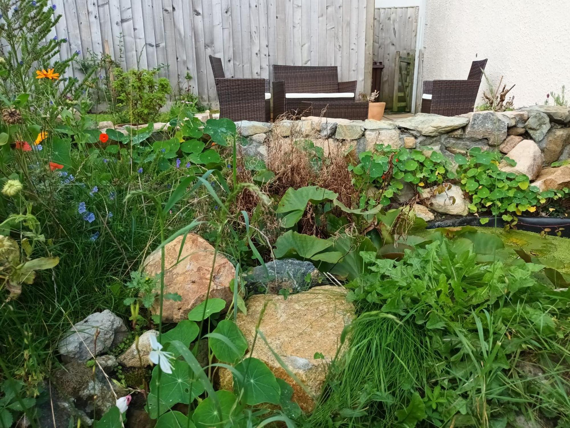 Sunrise! ~ 2 Bedrooms, Garden, Parking, Sea Views St Ives Esterno foto